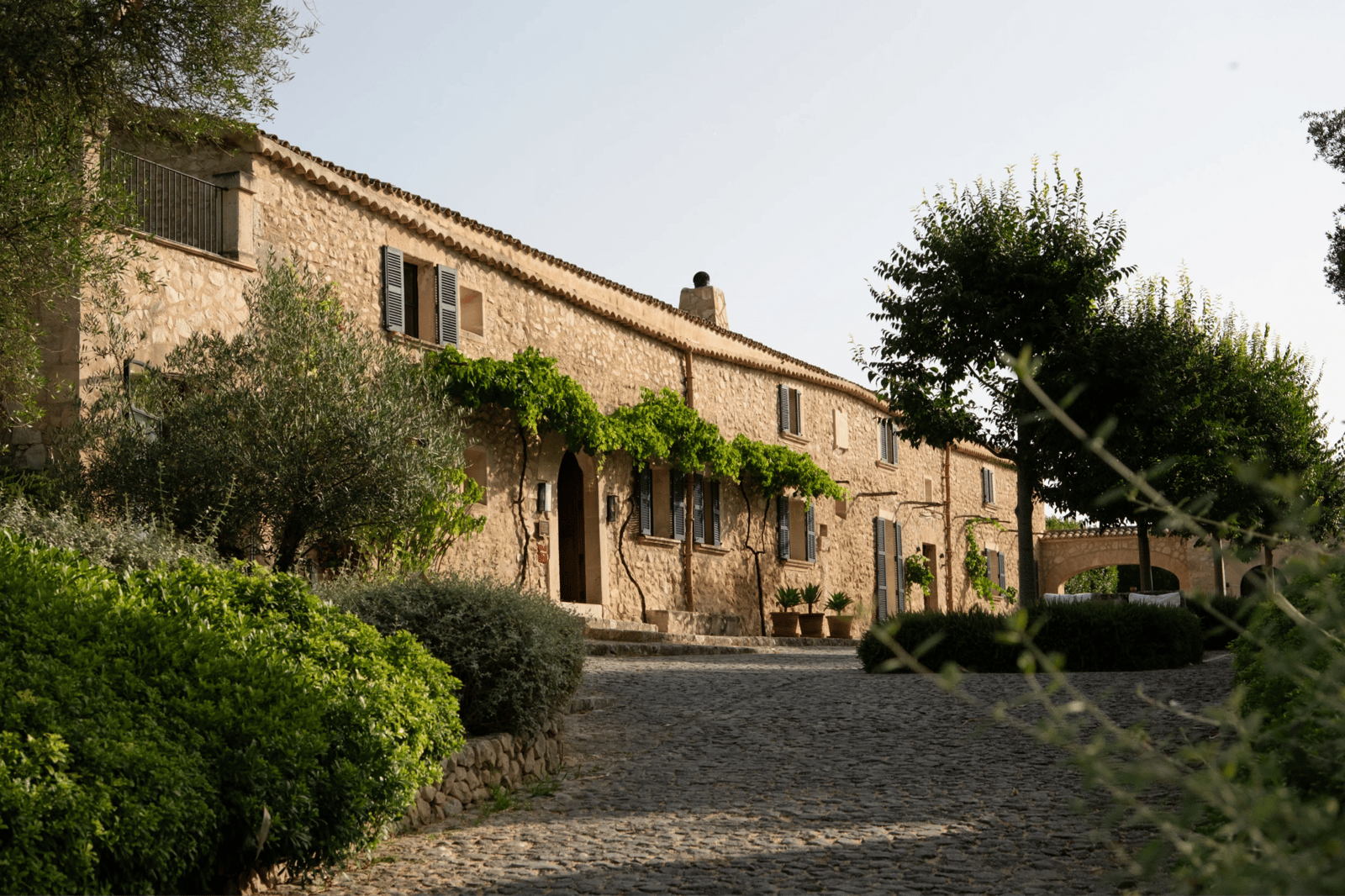 Finca Serena Mallorca, backstory