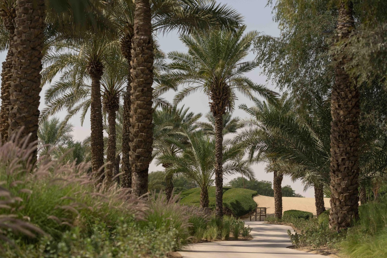Bab Al Shams - A Rare Finds Desert Resort, vibe