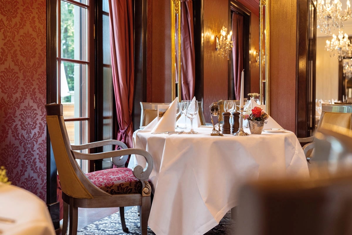 Wald & Schlosshotel Friedrichsruhe, le cerf