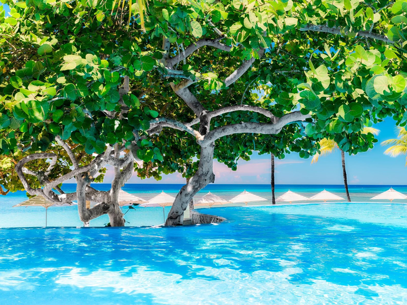 Kimpton Grand Roatan Resort and Spa, wellness