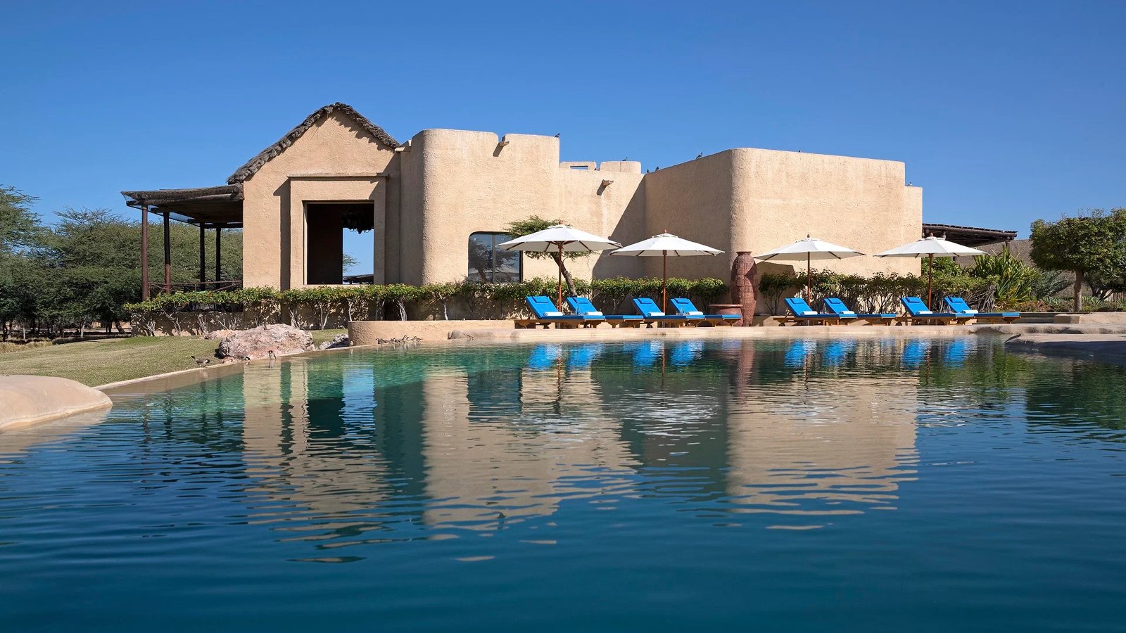Anantara Sir Bani Yas Island Al Sahel Villa Resort, the pool
