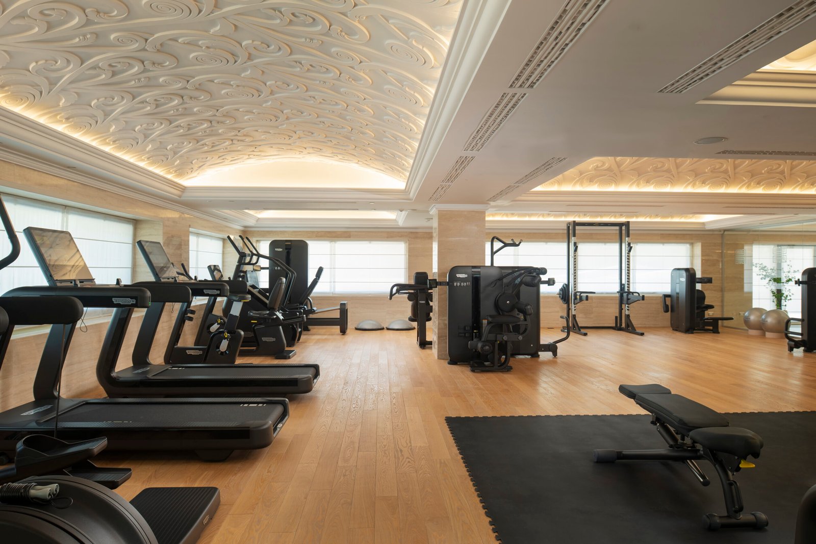 Ayan Zalaat, wellness