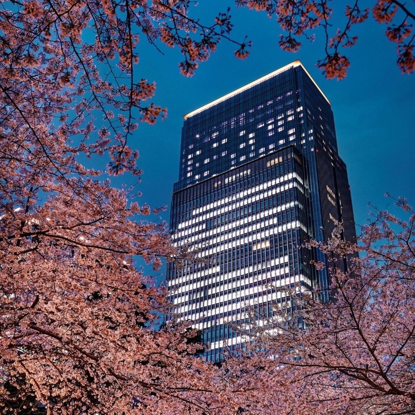 Mandarin Oriental Tokyo, how it began