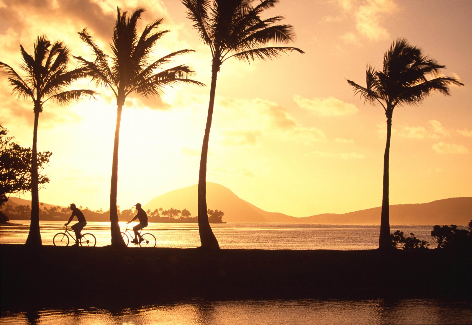 The Kahala Hotel & Resort — vibe