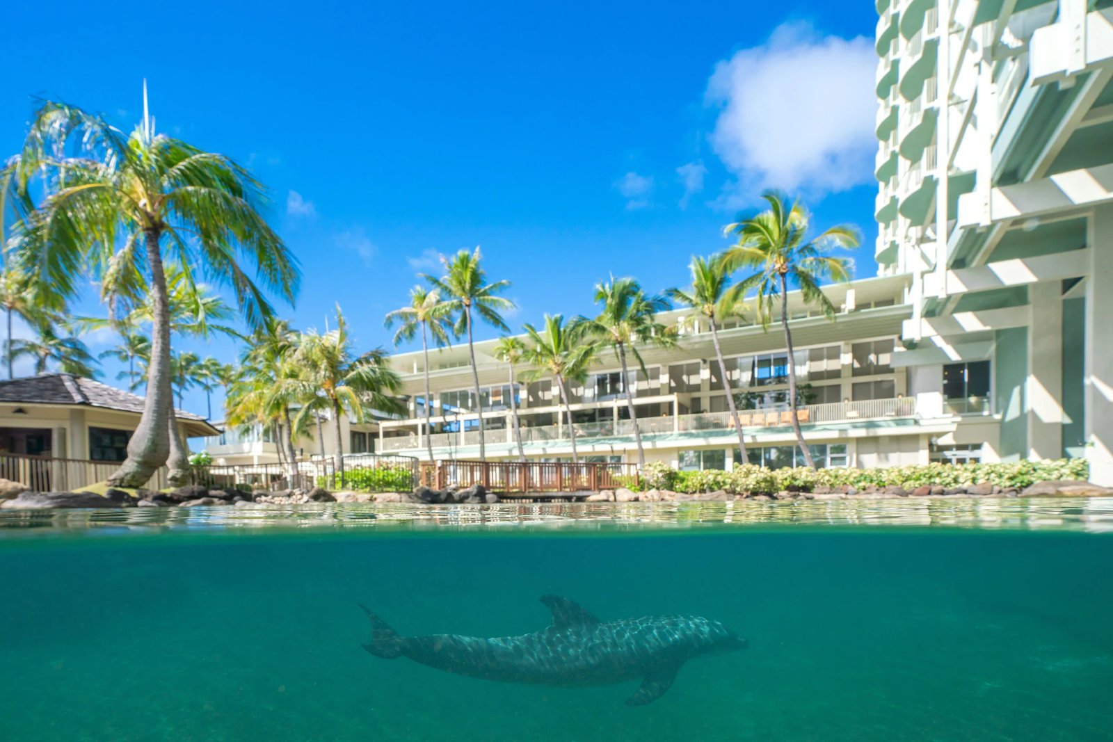 The Kahala Hotel & Resort — wellness