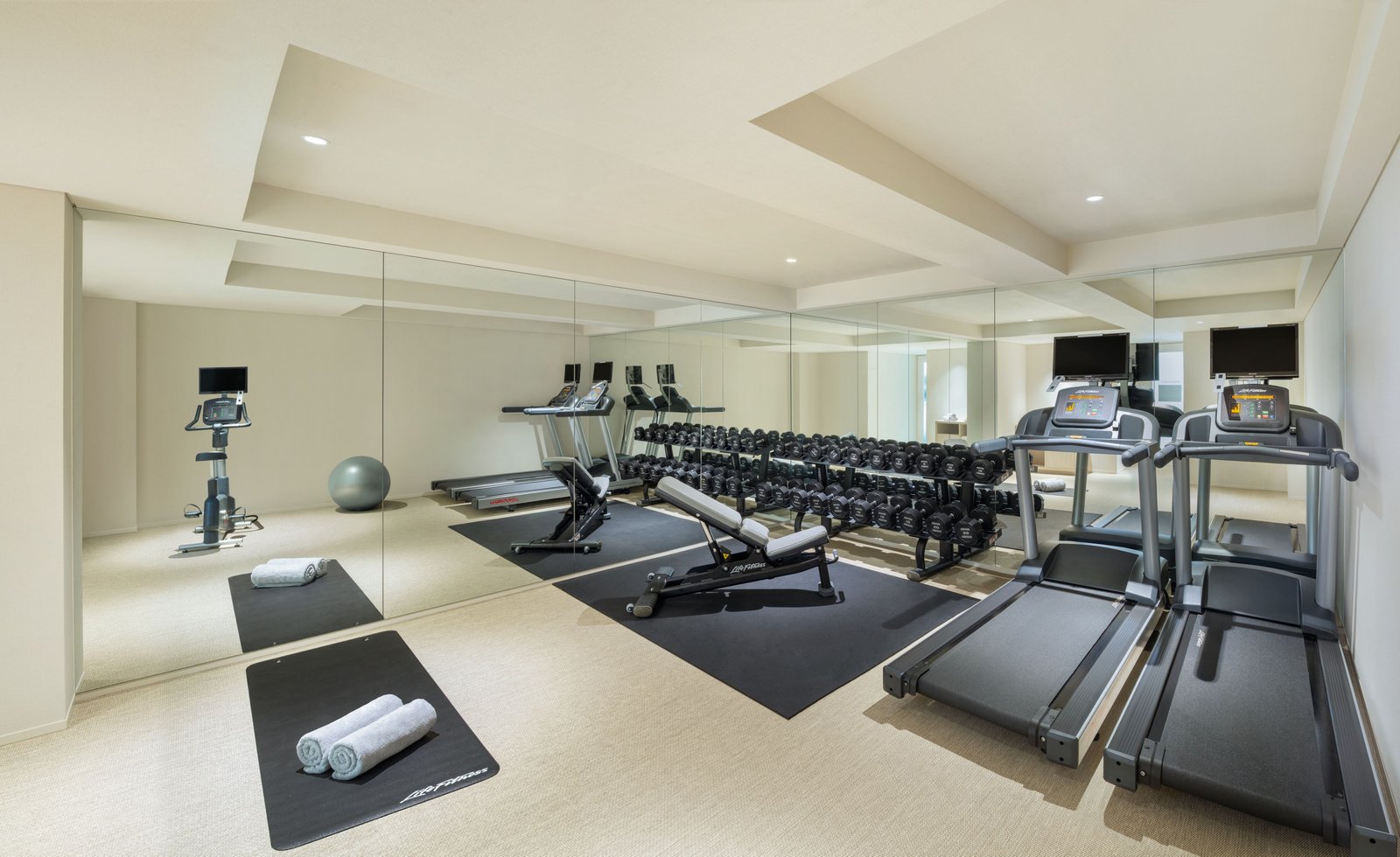 IRAPH SUI, a Luxury Collection Hotel, the spa and gym