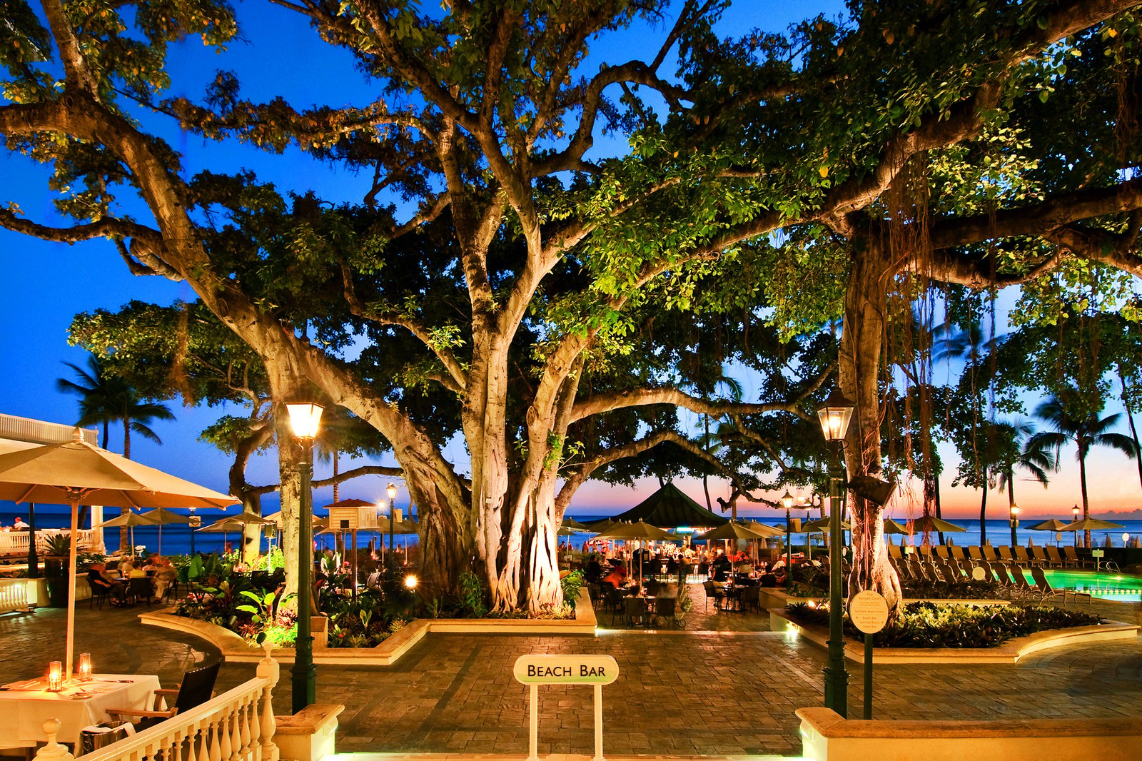 Moana Surfrider, A Westin Resort & Spa, at the table