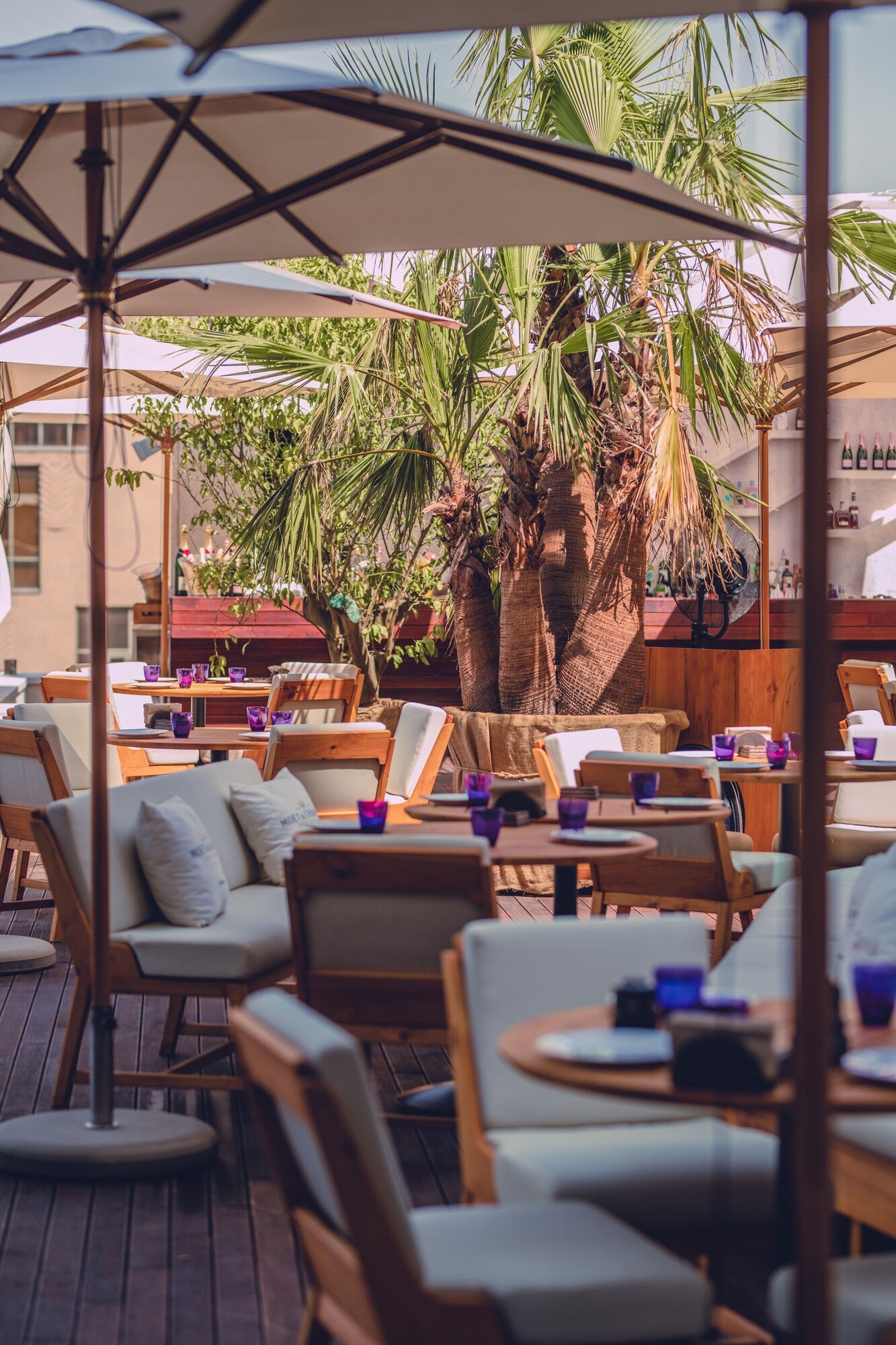 Seven Visions Hotels, at the table