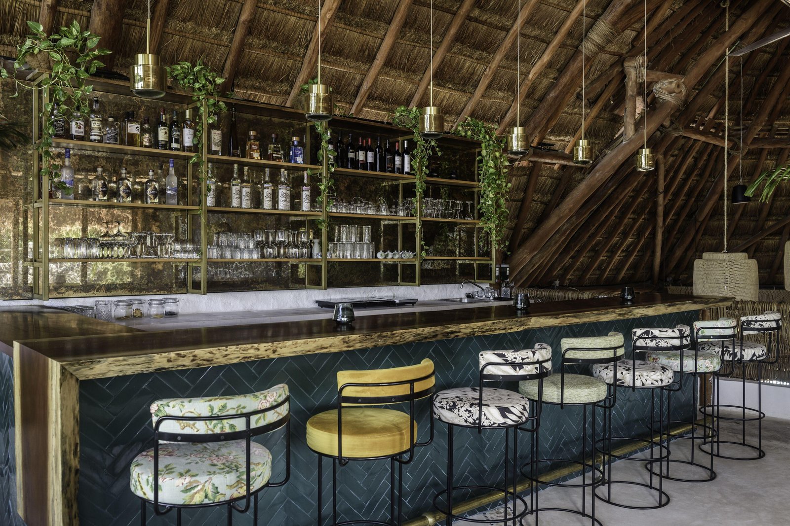 Casa Las Tortugas, at the table
