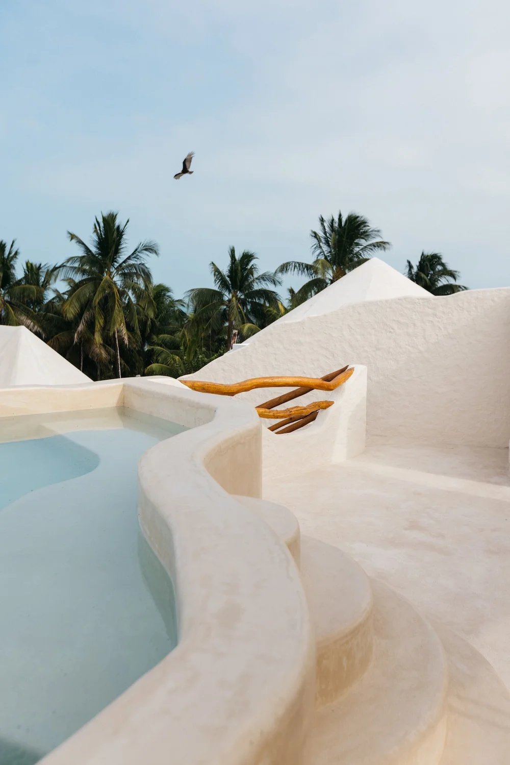 Casa Las Tortugas, the pool