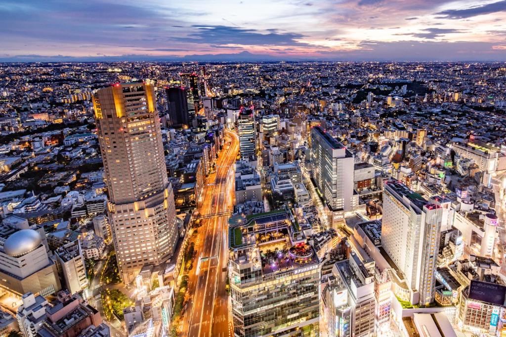 Cerulean Tower Tokyu Hotel — backstory