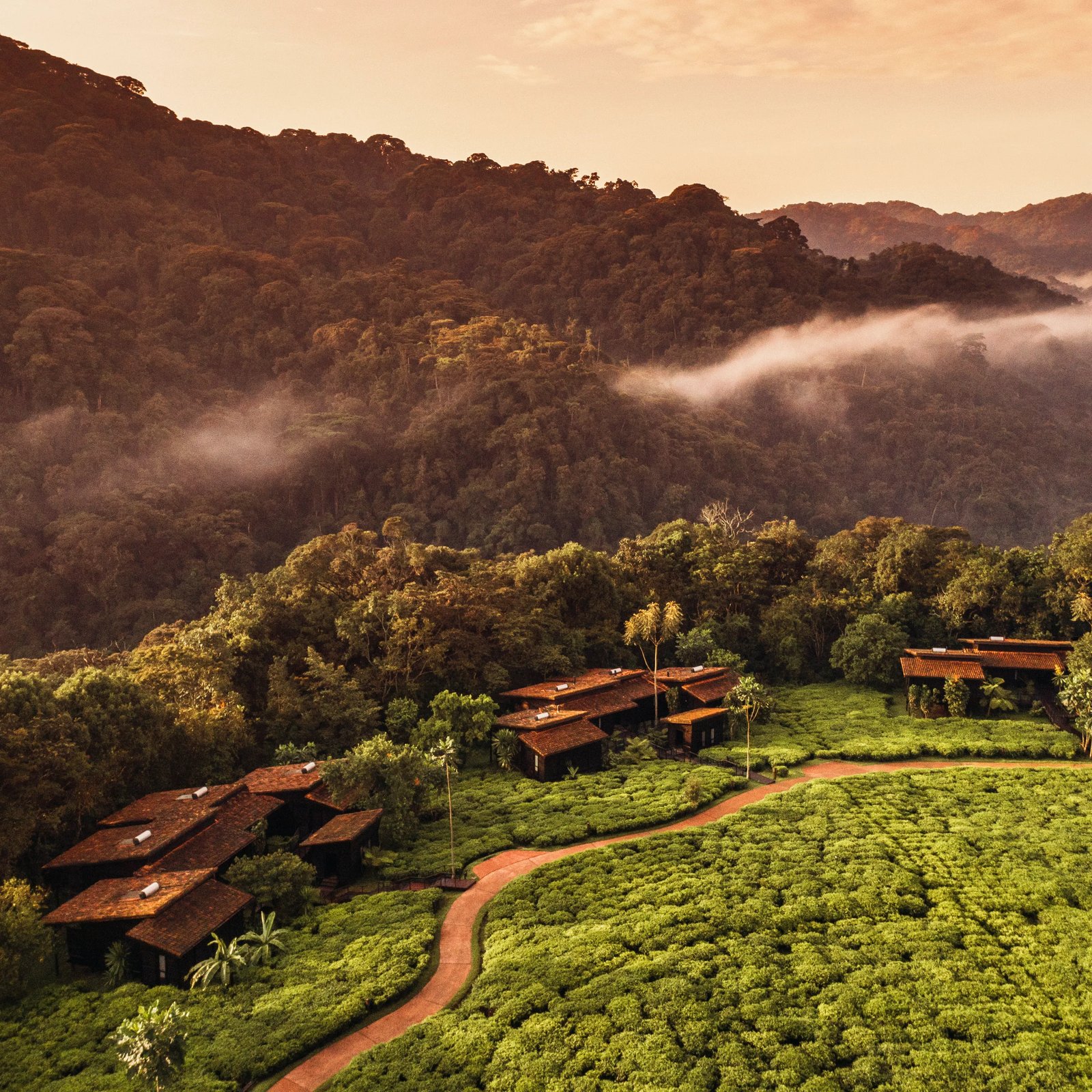 One&Only Nyungwe House, backstory