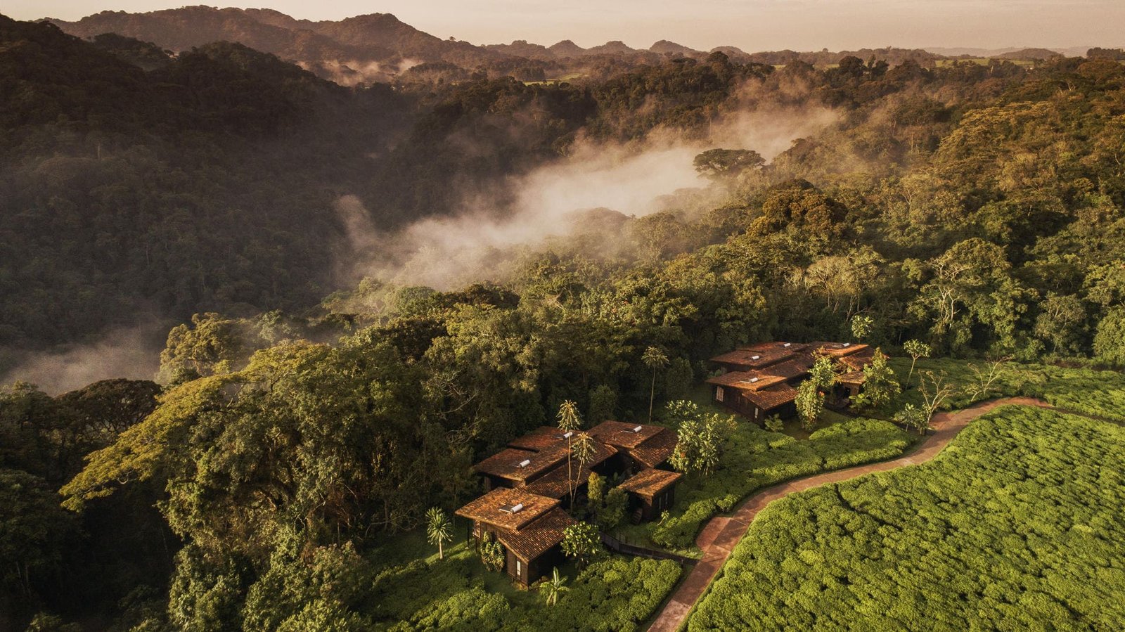 One&Only Nyungwe House, backstory