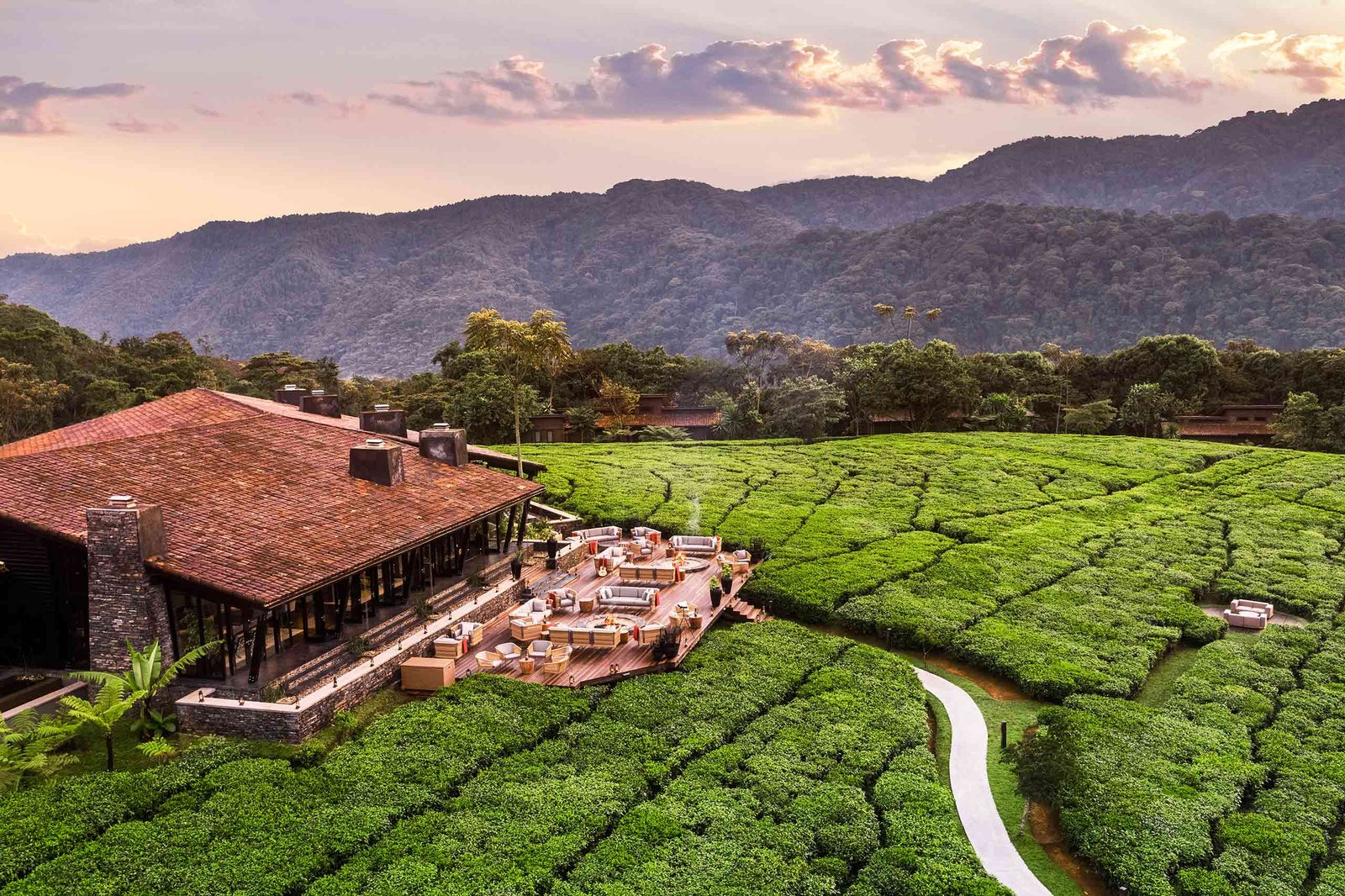 One&Only Nyungwe House, vibe