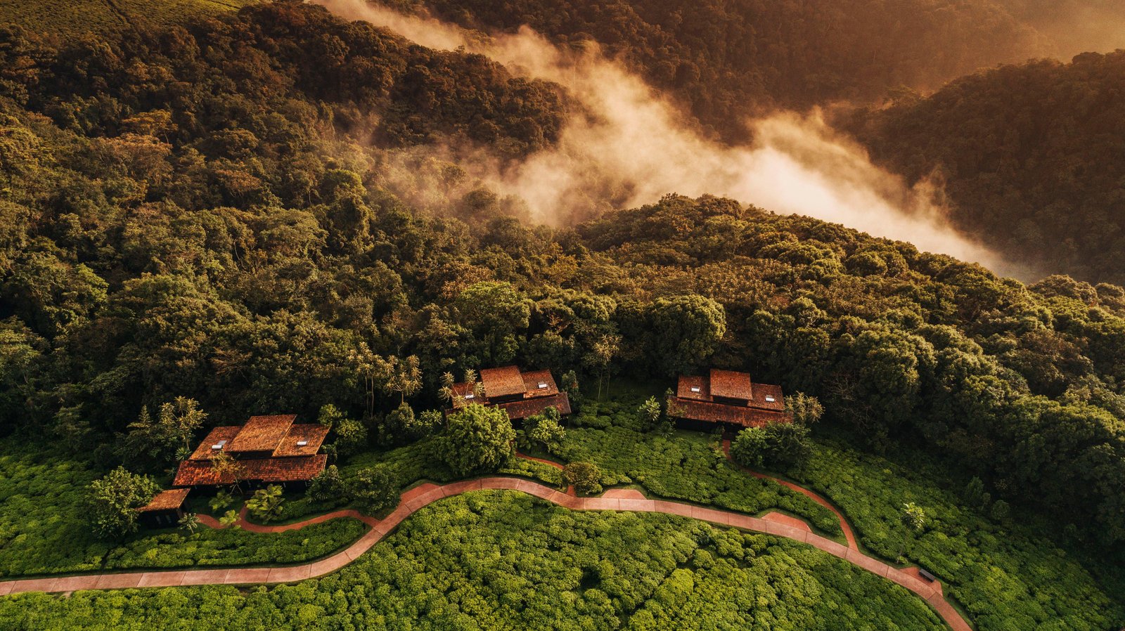 One&Only Nyungwe House, backstory