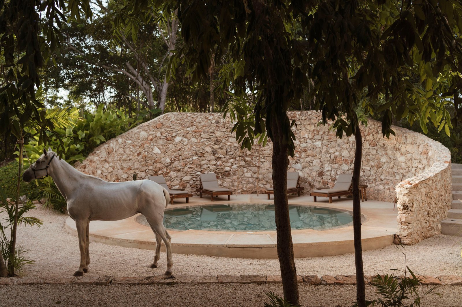 Galopina, the pool