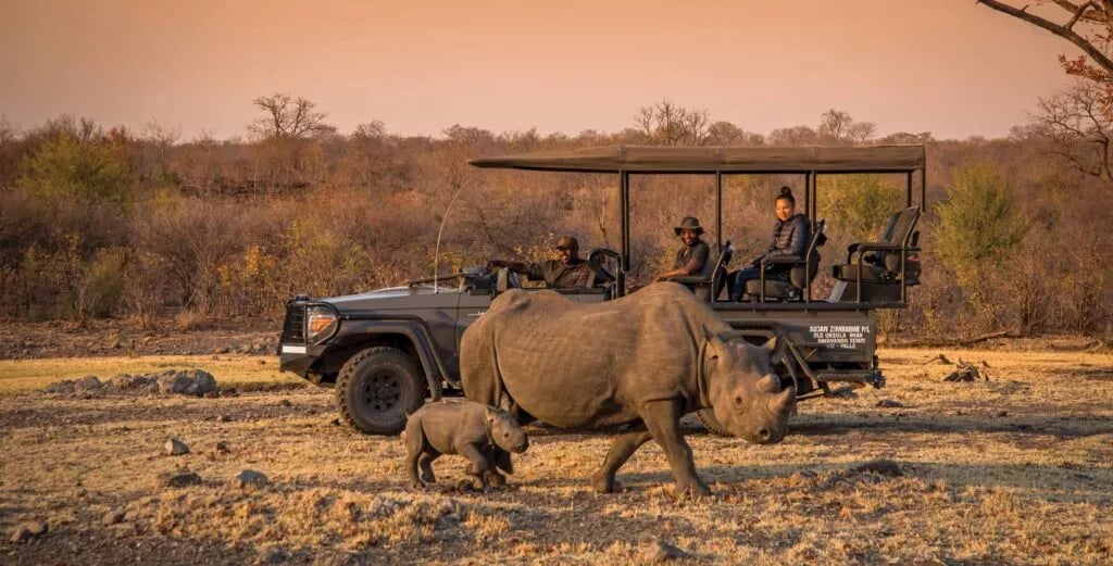 Anantara Stanley & Livingstone Victoria Falls Hotel, vibe