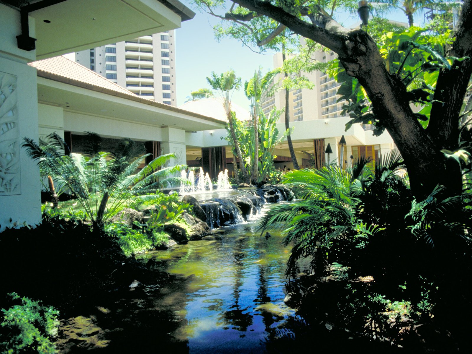 Hilton Hawaiian Village Waikiki Beach Resort — vibe