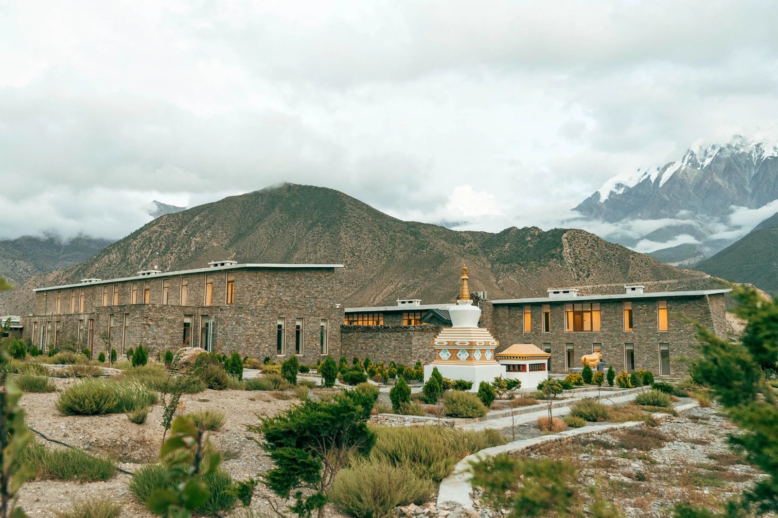 Shinta Mani Mustang, backstory