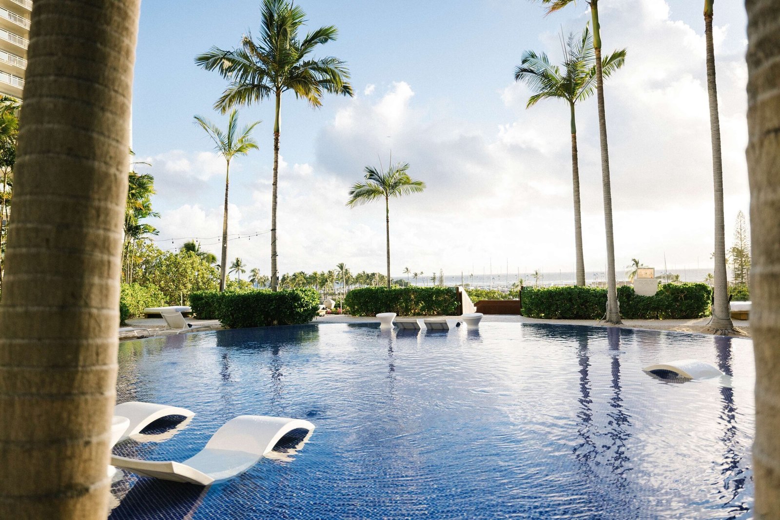 The Modern Honolulu — wellness