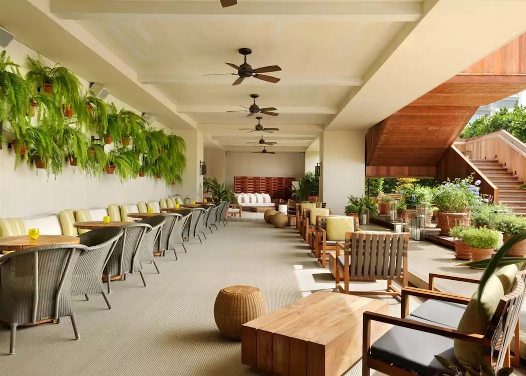 The Modern Honolulu, the grove restaurant