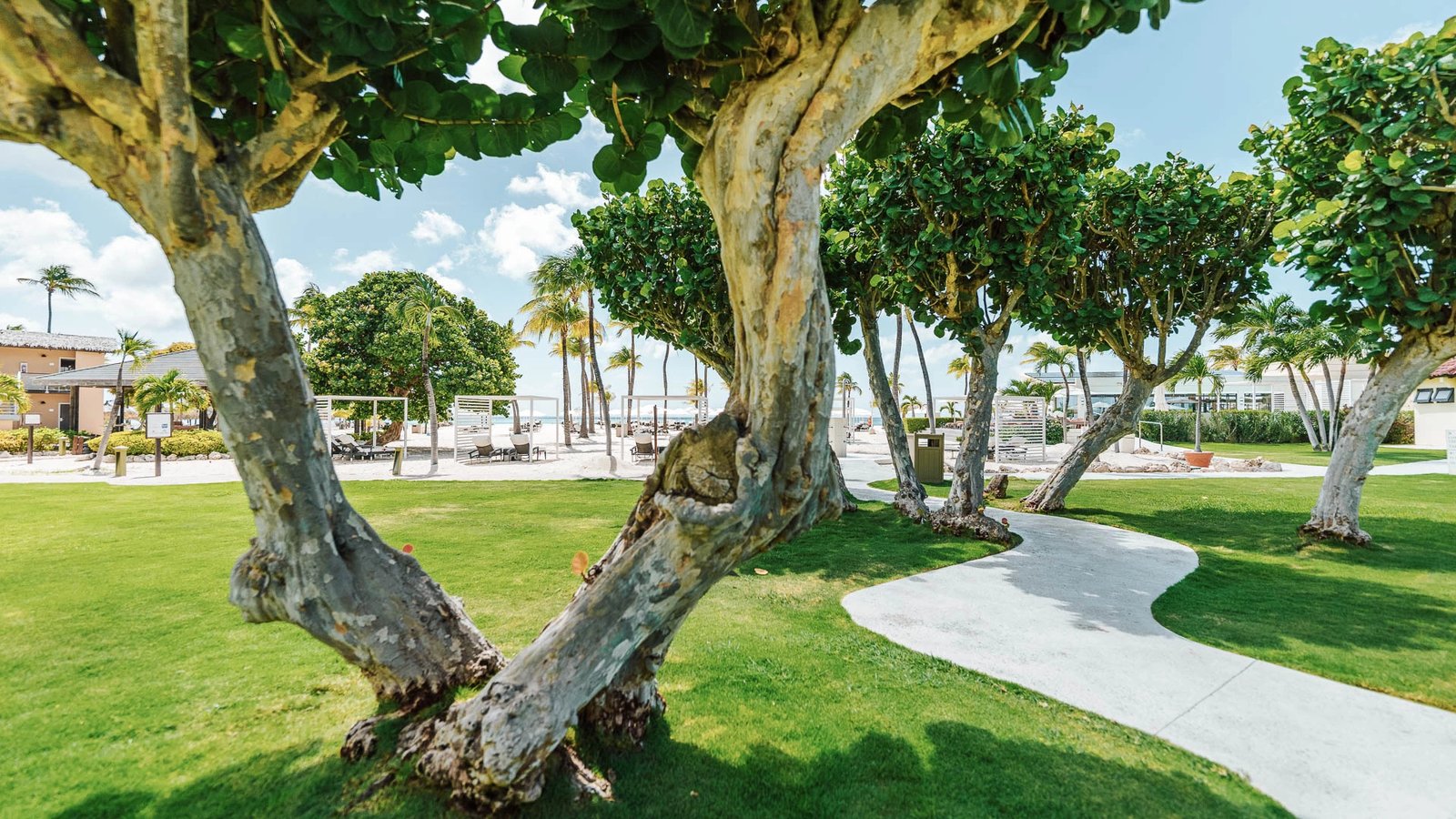 Bucuti & Tara Beach Resort, vibe
