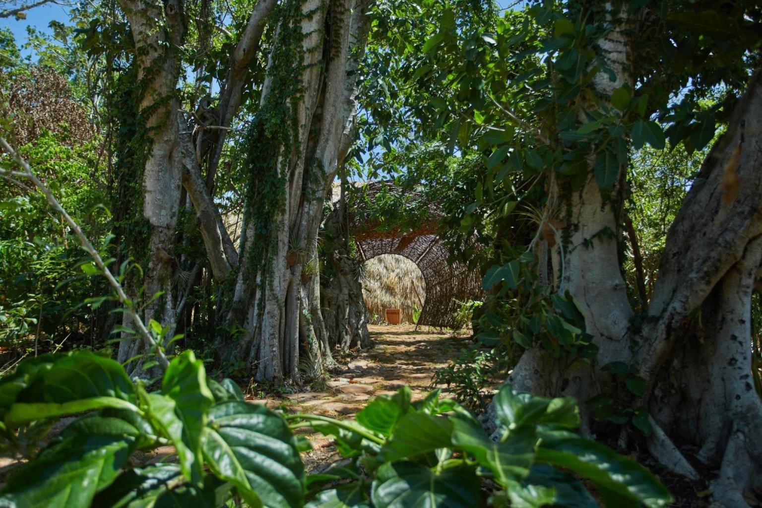 Cayo Levantado Resort, vibe