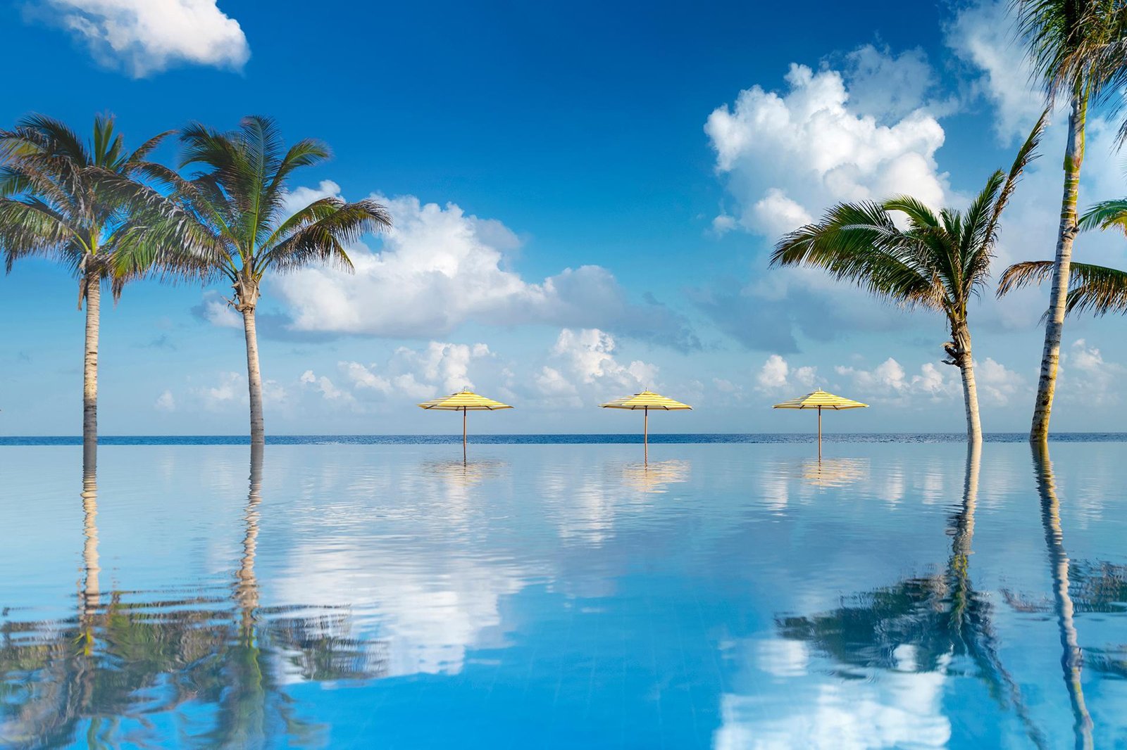 Half Moon, wellness
