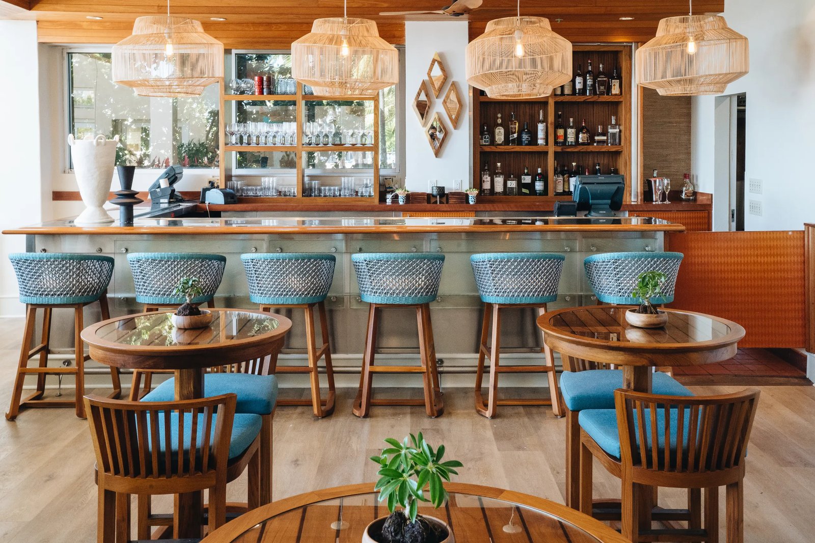 Kaimana Beach Hotel, hau tree