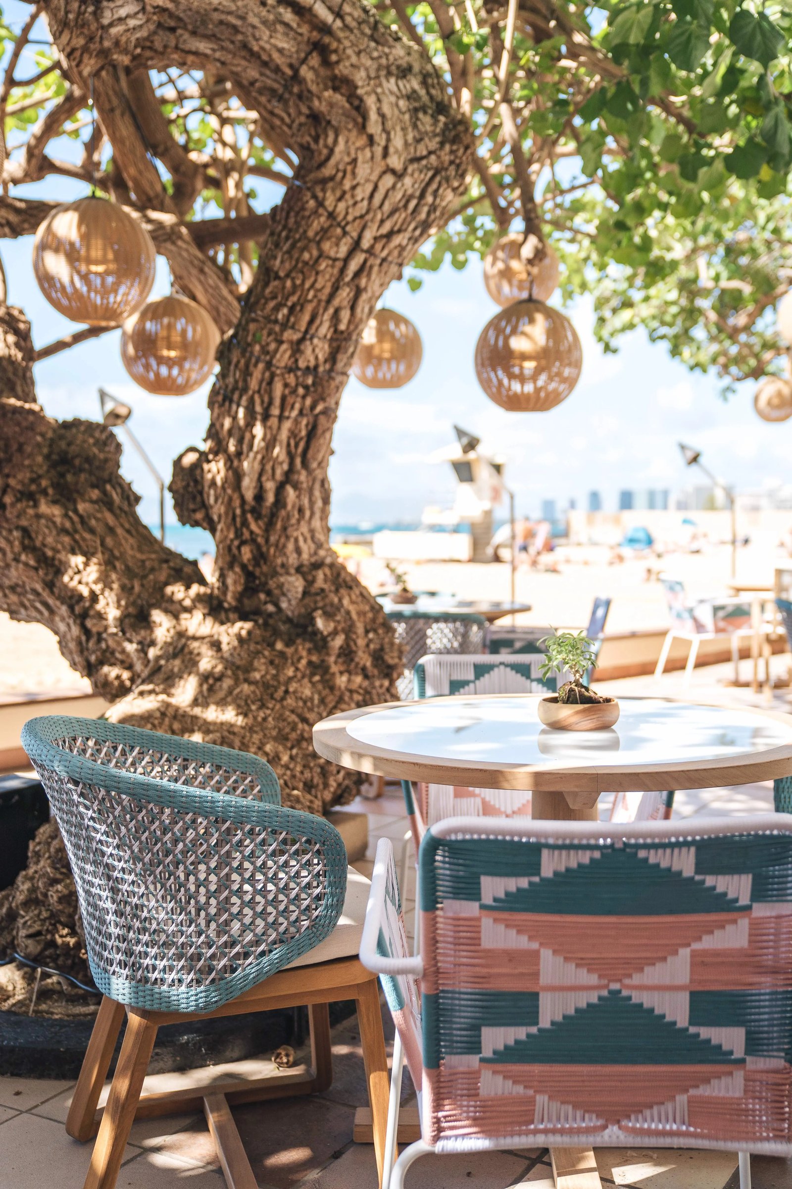 Kaimana Beach Hotel, hau tree