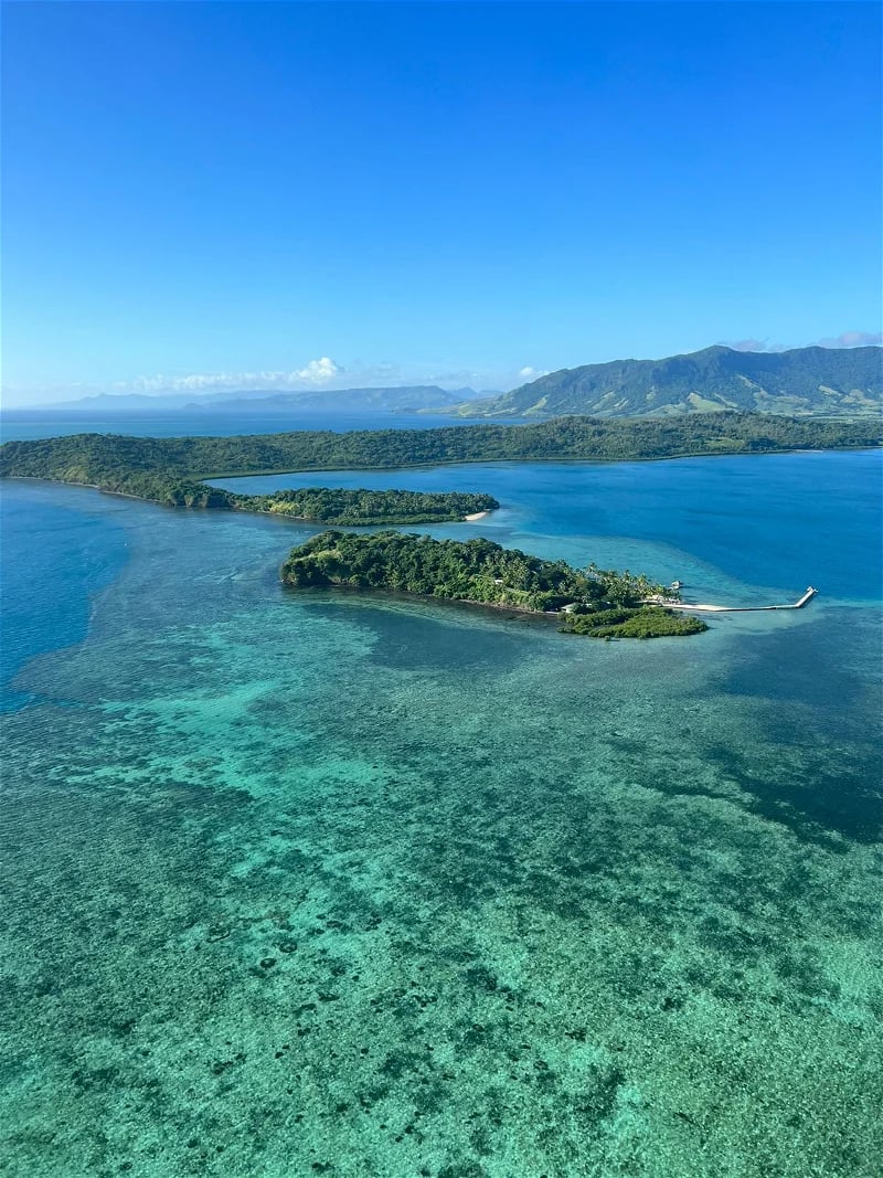 Dolphin Island, vibe