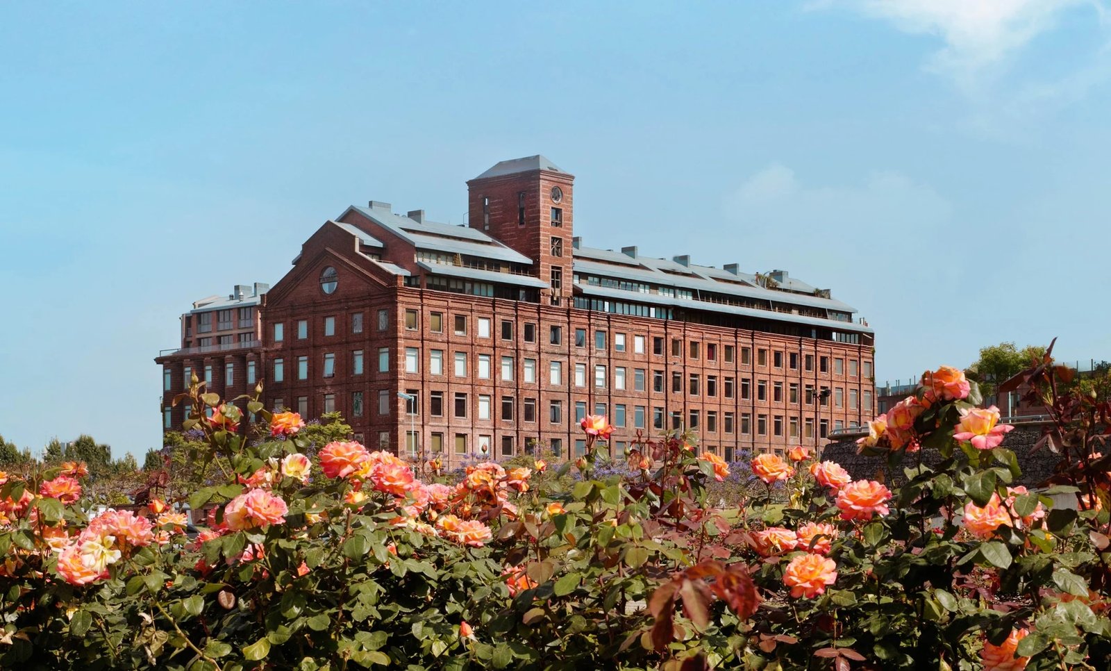 Faena Hotel Buenos Aires, how it began