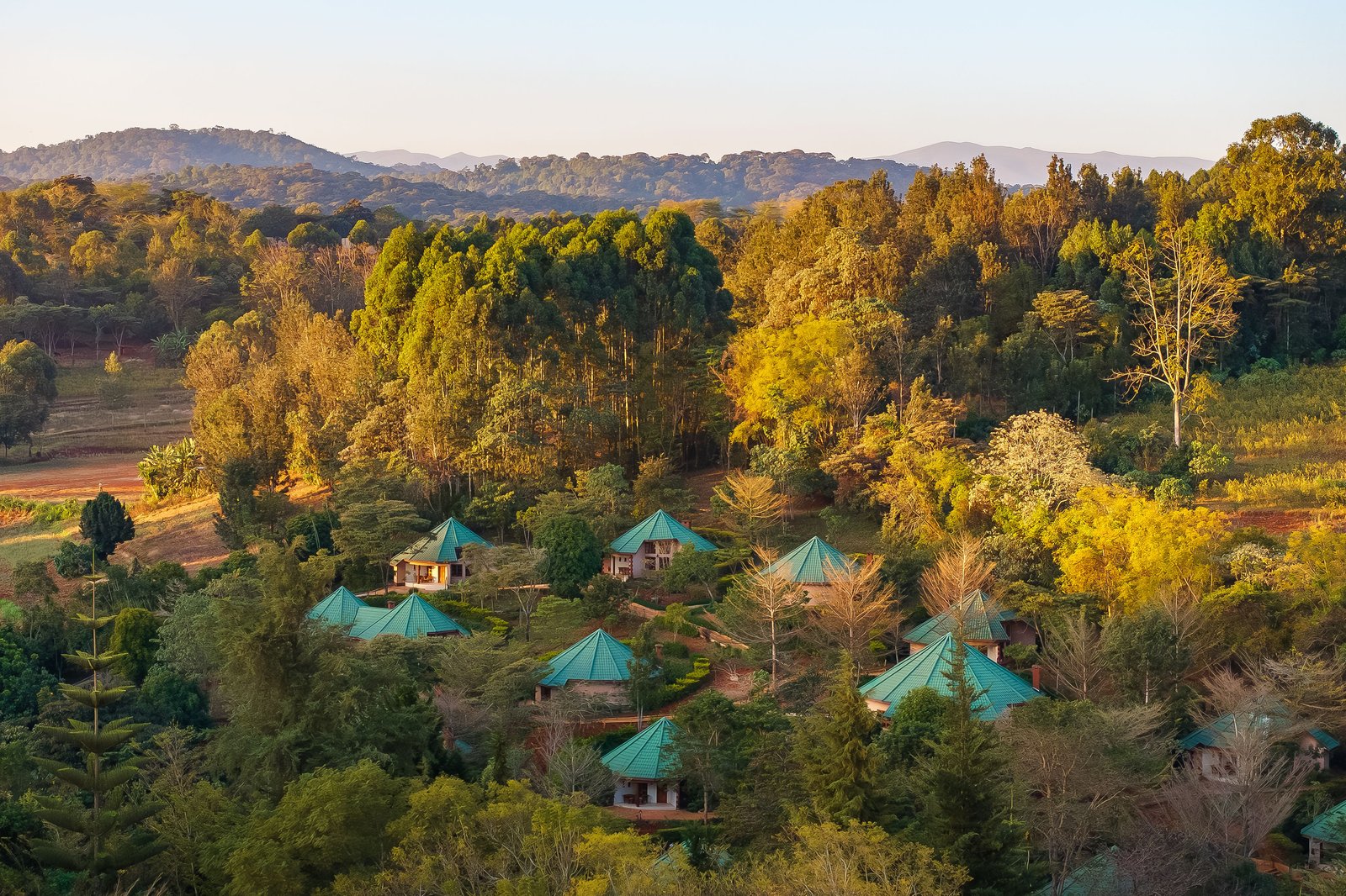 Turaco Ngorongoro Valley, a Tribute Portfolio Lodge, backstory