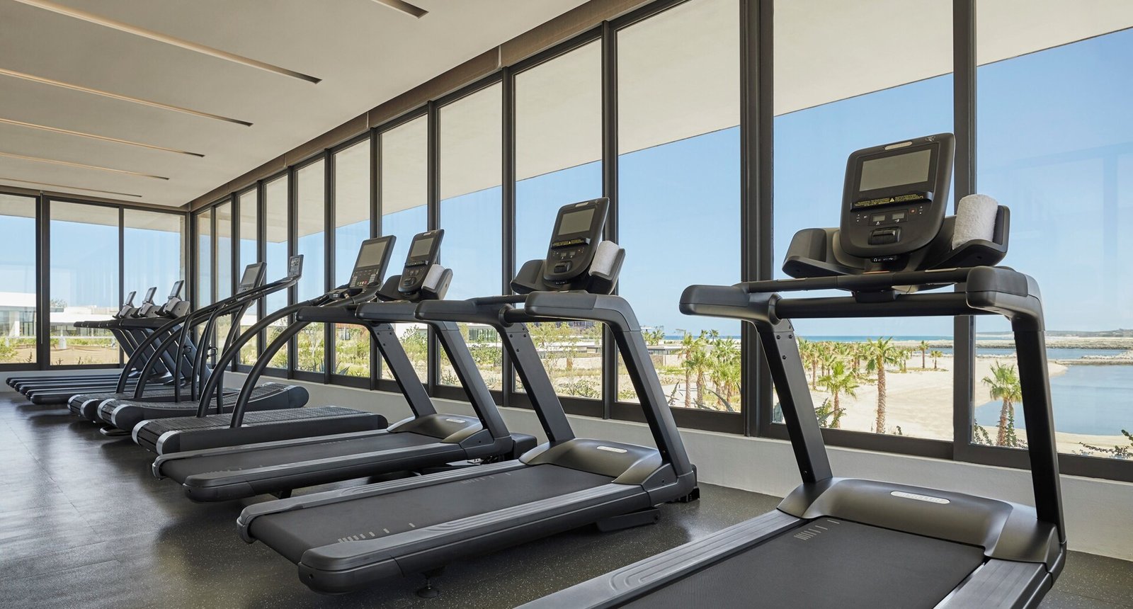 Four Seasons Resort Los Cabos at Costa Palmas, wellness