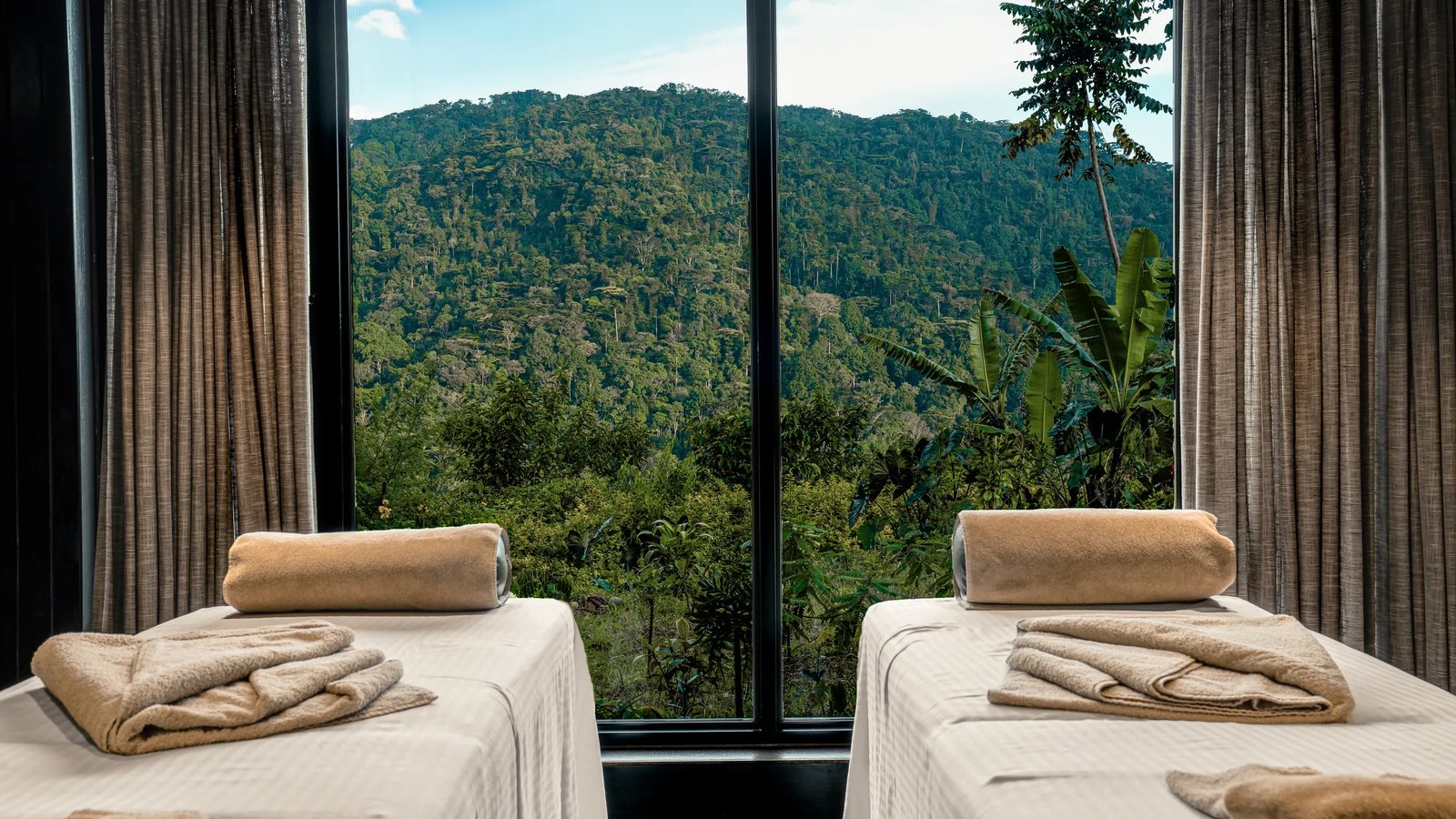 Silverback, wellness
