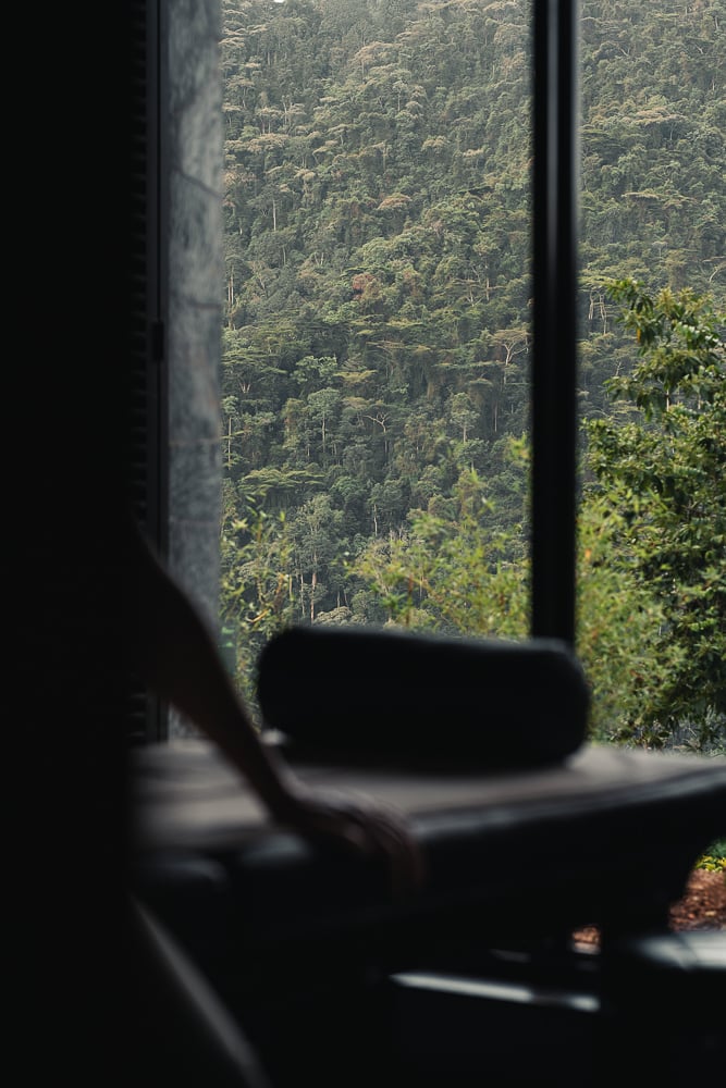 Silverback, wellness
