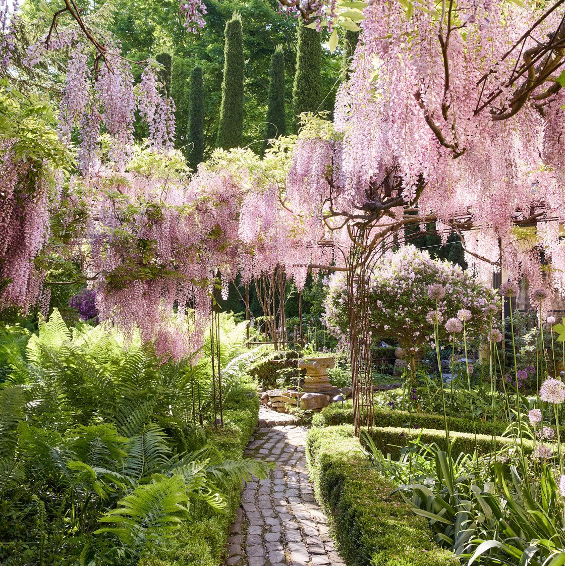 Secret Garden Inn — backstory