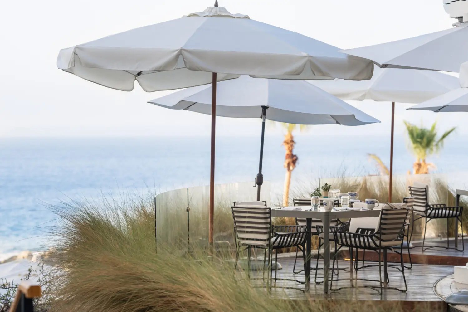 Hilton Los Cabos Beach & Golf Resort, eat & drink
