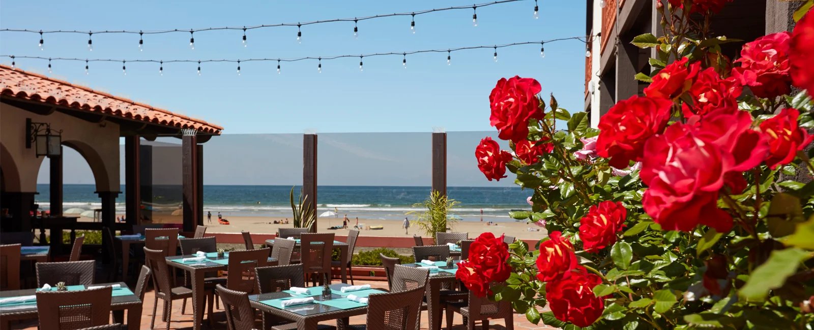 La Jolla Shores Hotel, the shores restaurant