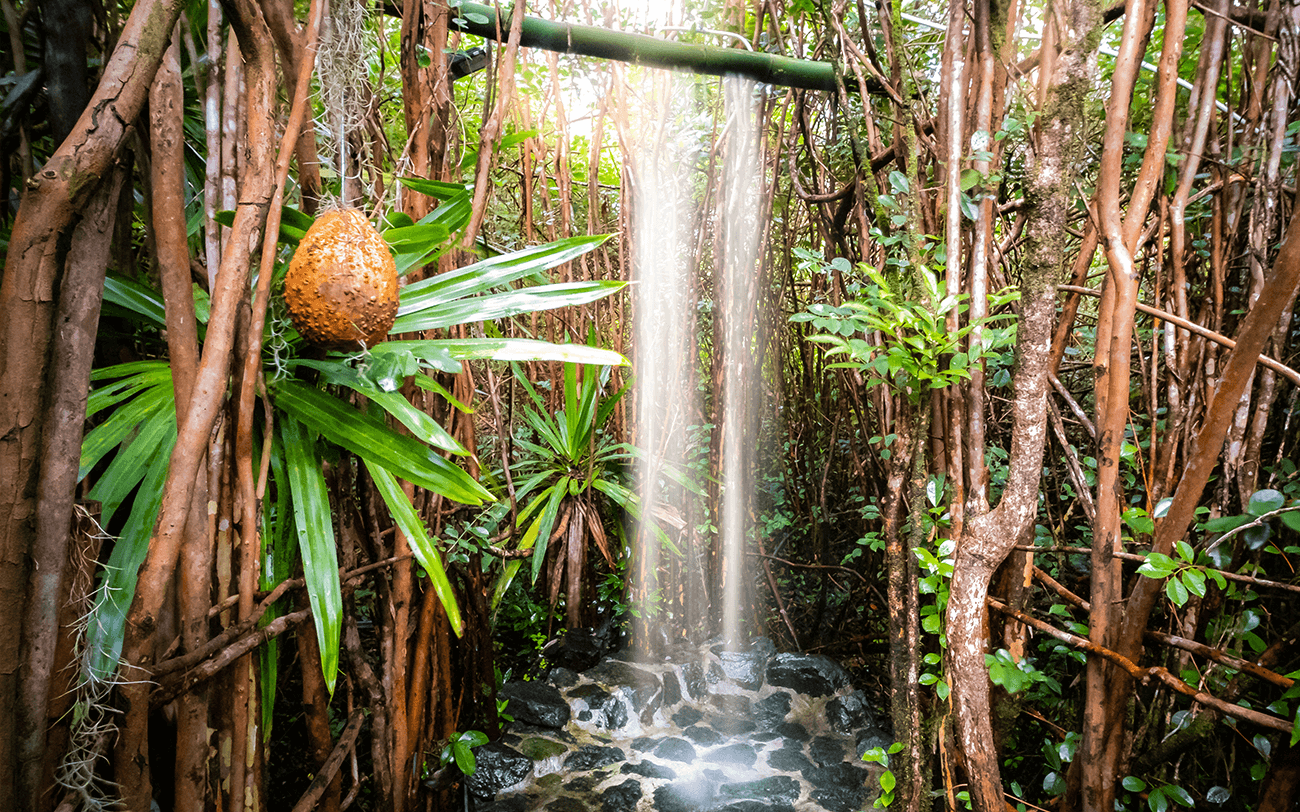 Hôtel Diana Dea Lodge & Spa, wellness