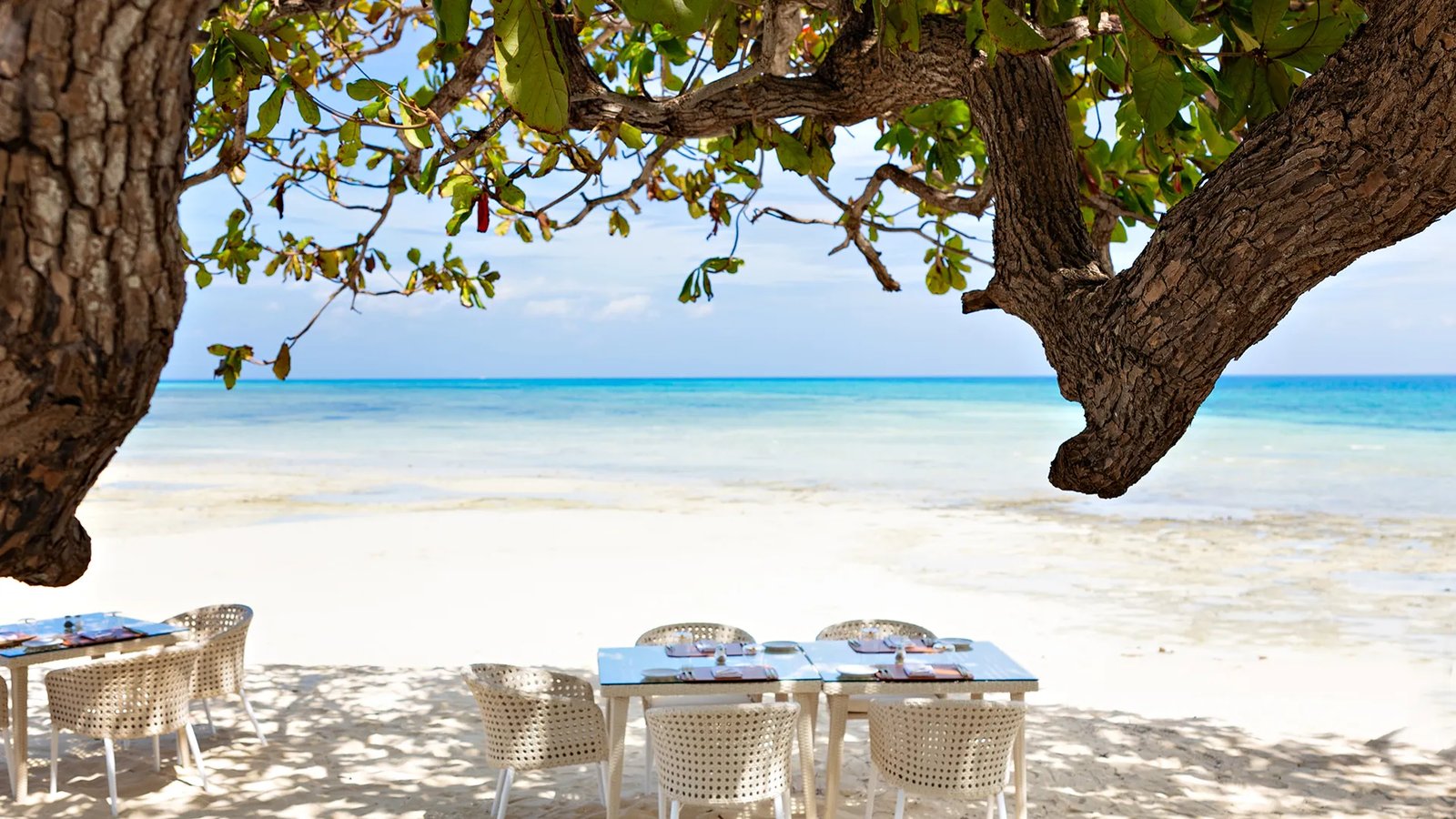 Bawe Island Resort, eat & drink