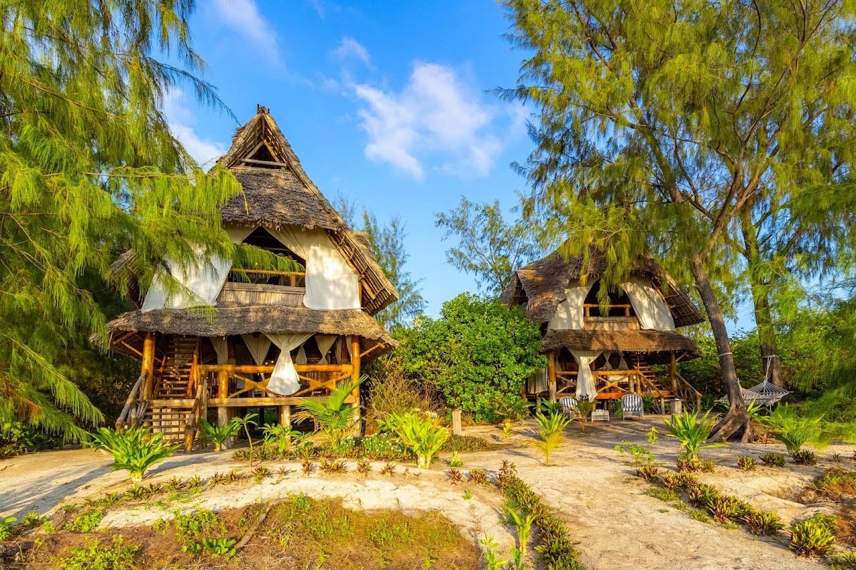Thanda Island, backstory