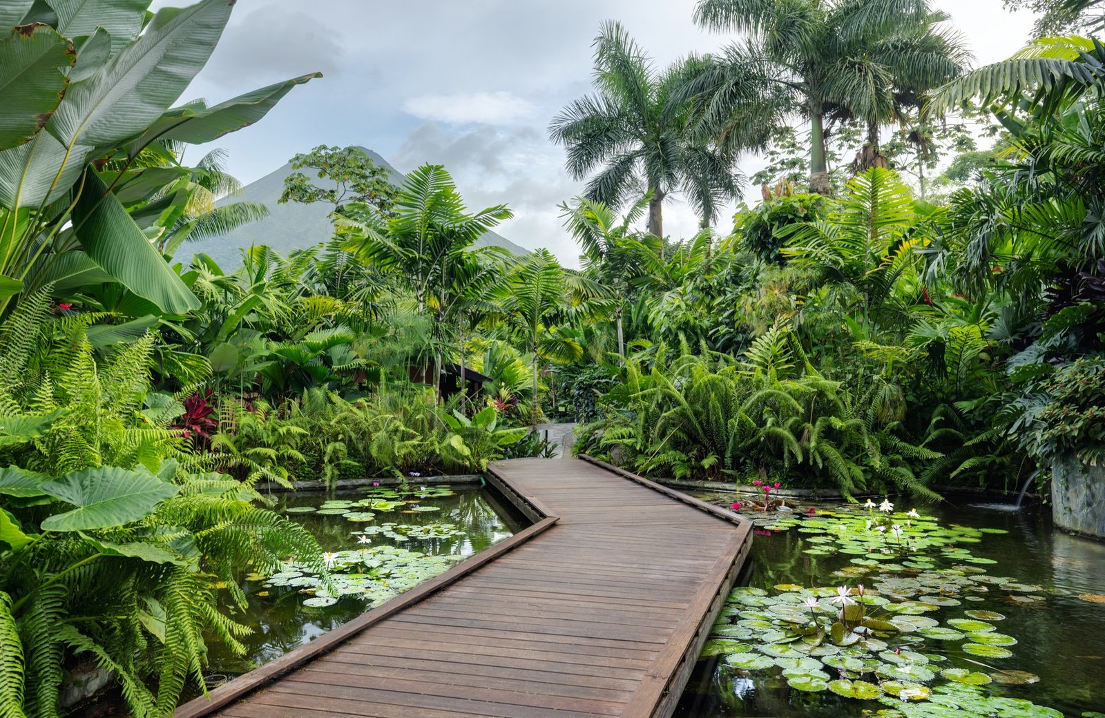 Nayara Gardens, vibe