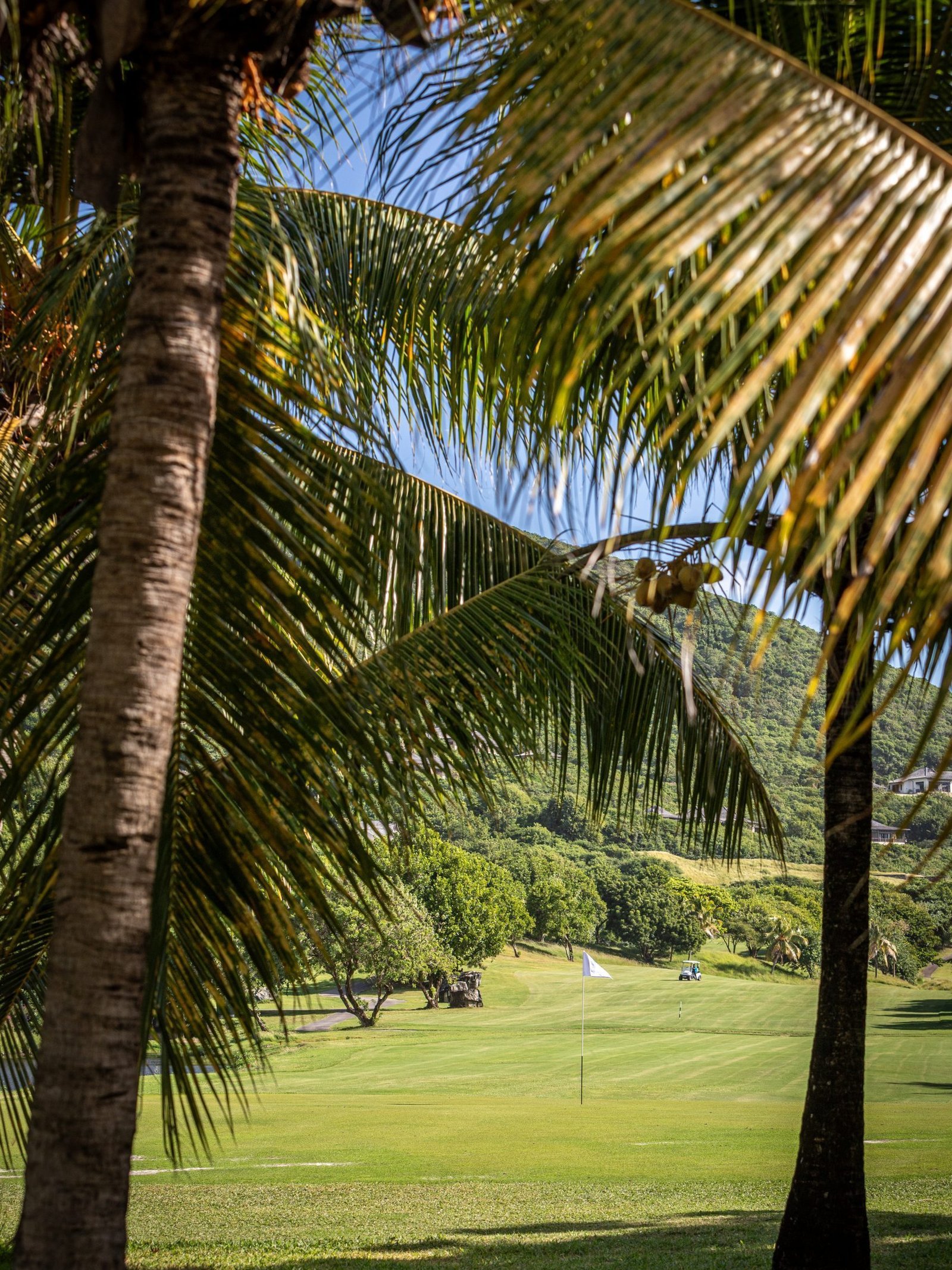 Canouan Estate Resort & Villas, wellness