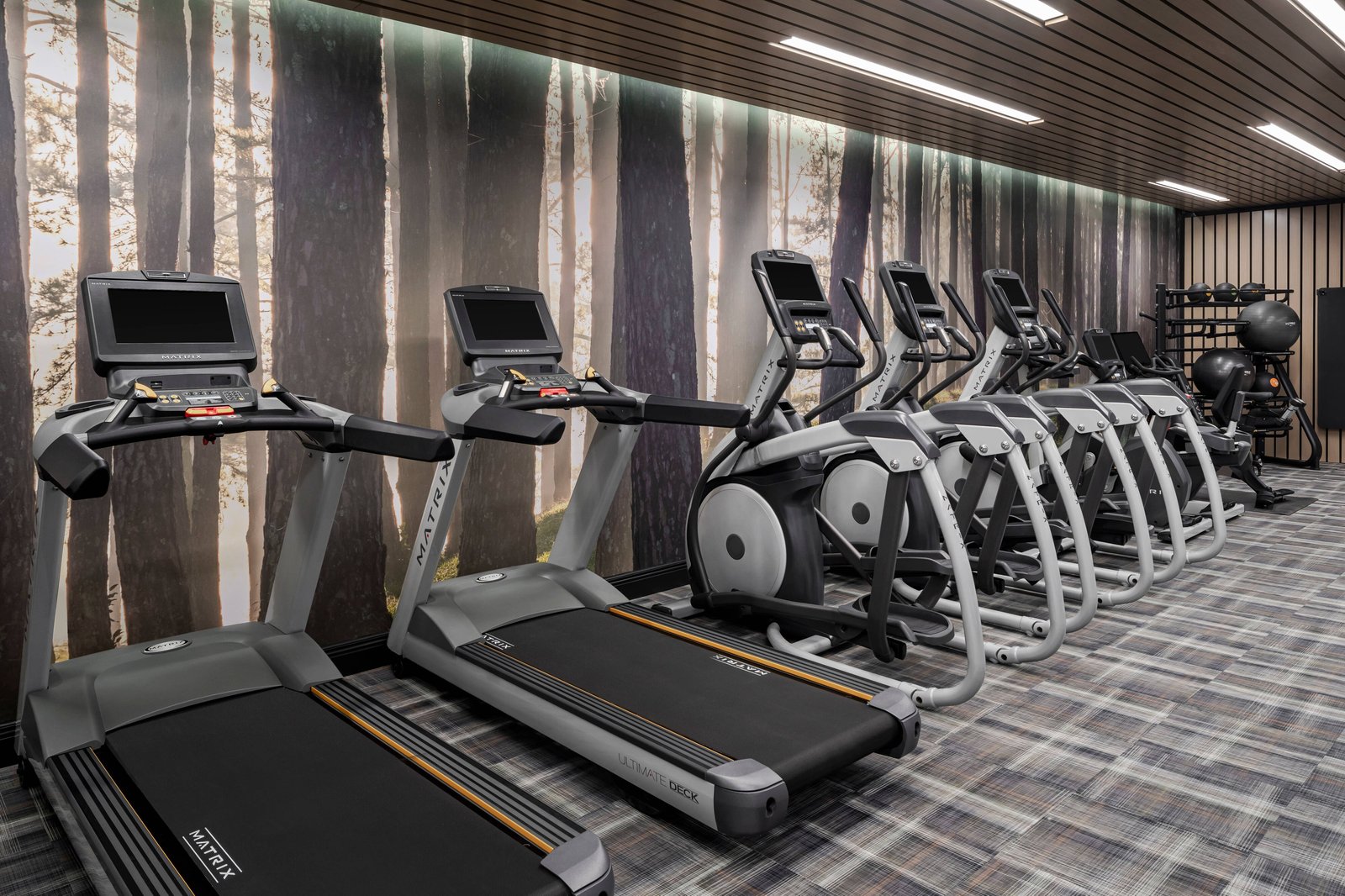 The Lytle Park Hotel, Autograph Collection, the gym