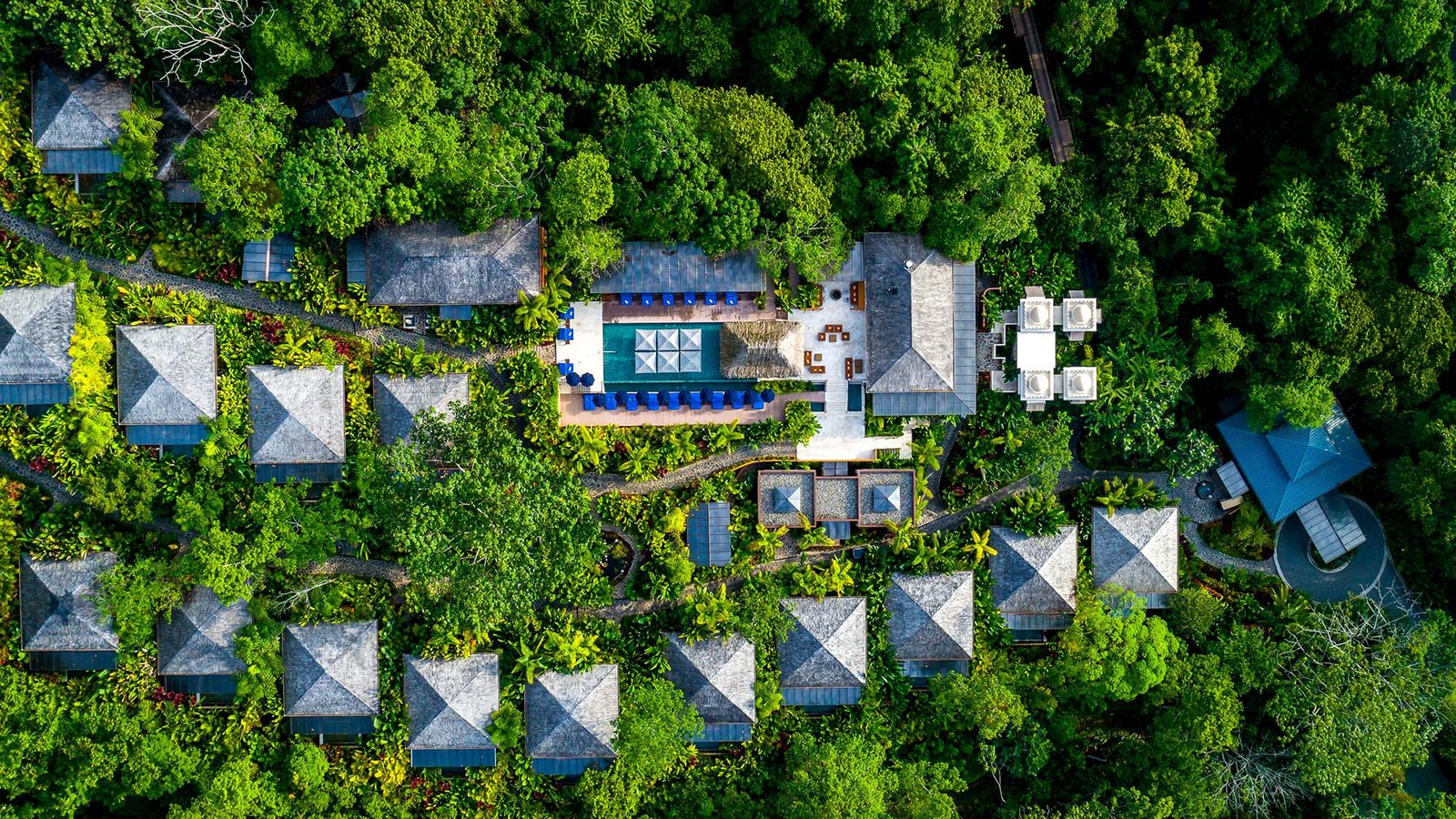 Nayara Springs, backstory