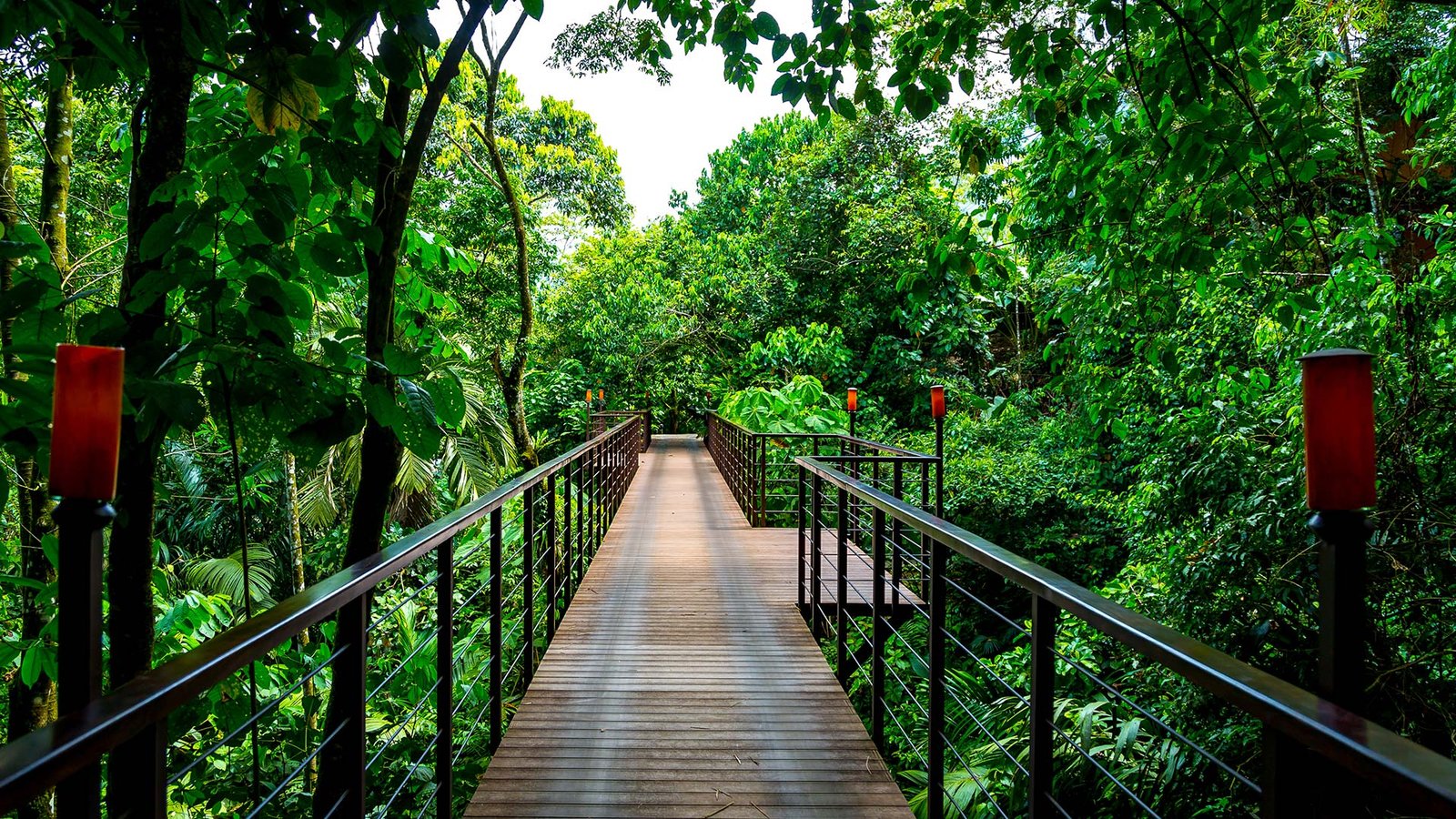 Nayara Springs, vibe