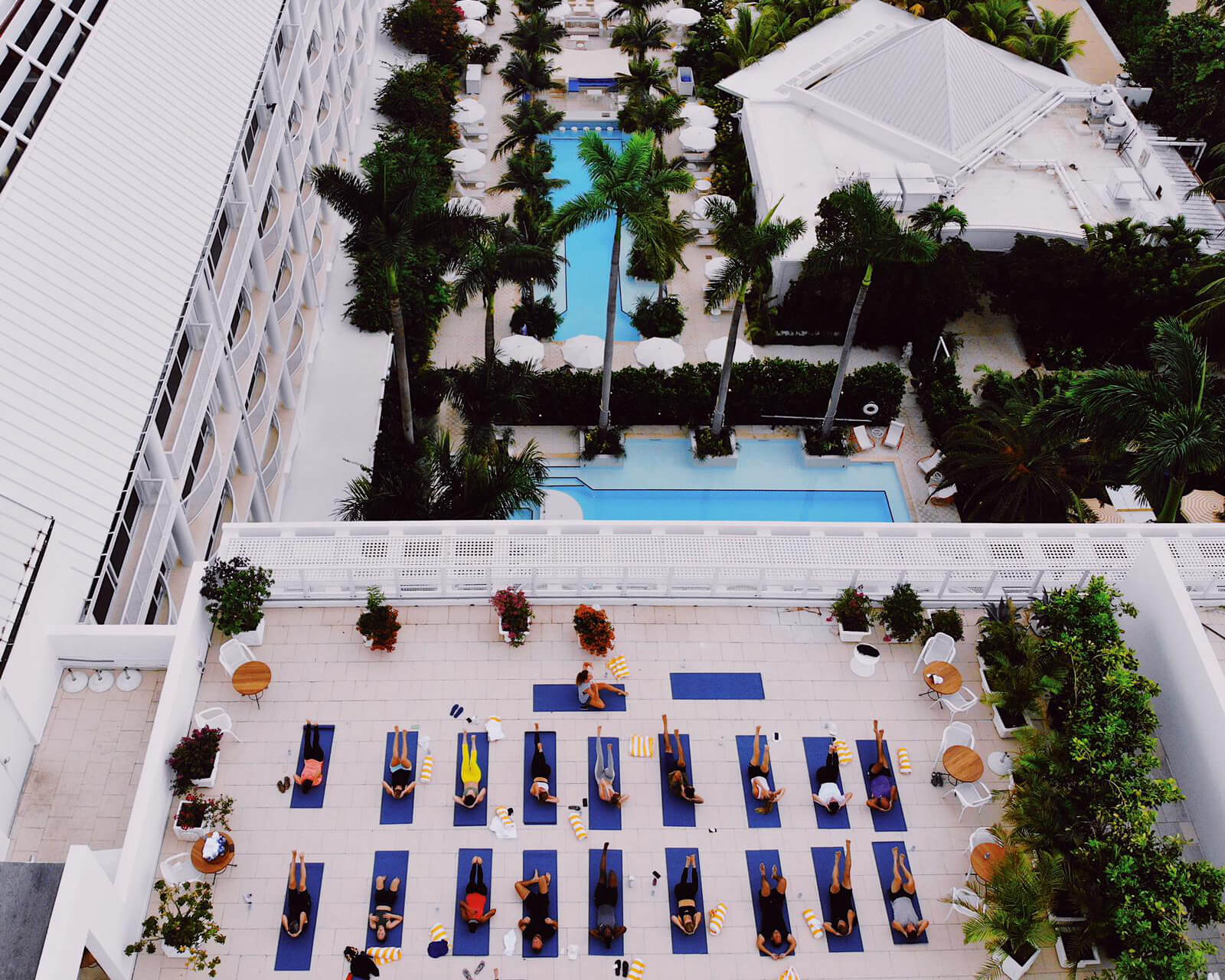 Palm Heights, wellness
