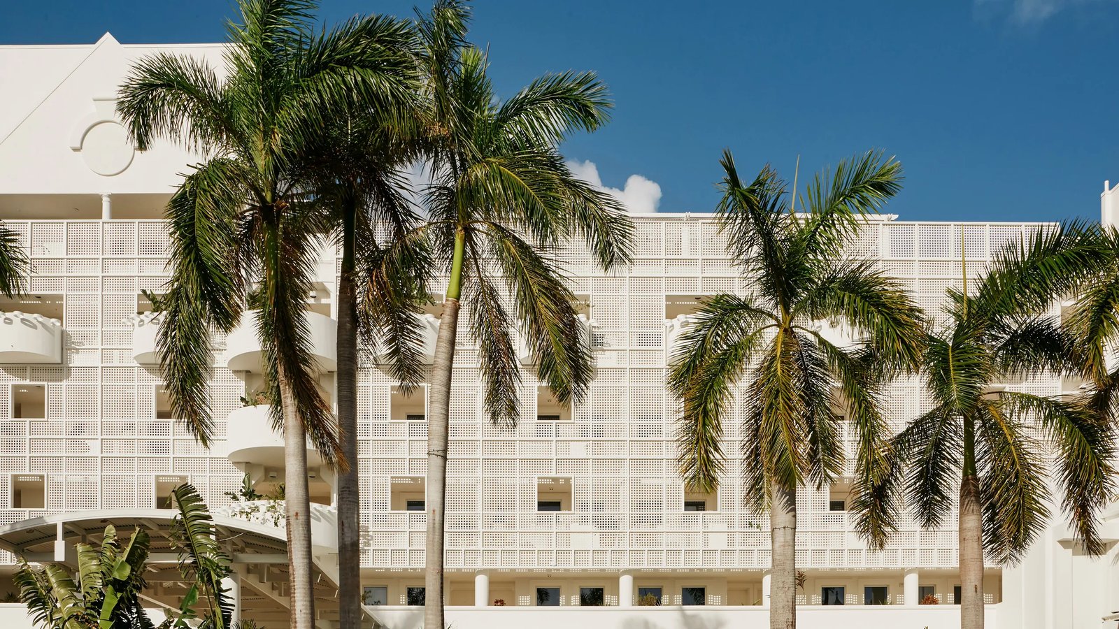 Palm Heights, backstory
