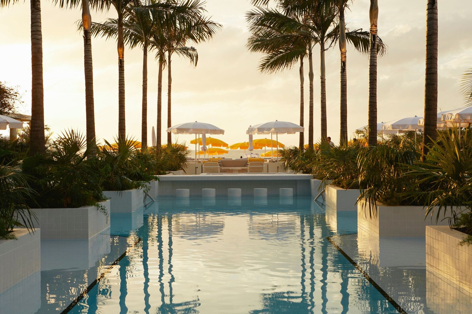 Palm Heights, wellness